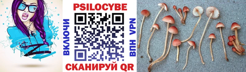 Галлюциногенные грибы Psilocybine cubensis  наркошоп  кракен ТОР  Губкинский 